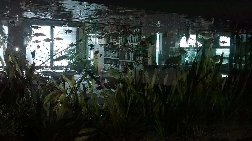 Locanda Ai Due Orsi Milano Oda fotoğraf